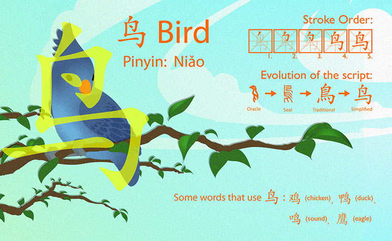 鸟 | Bird