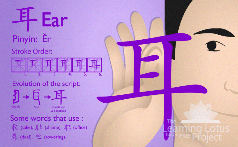 耳 | ear