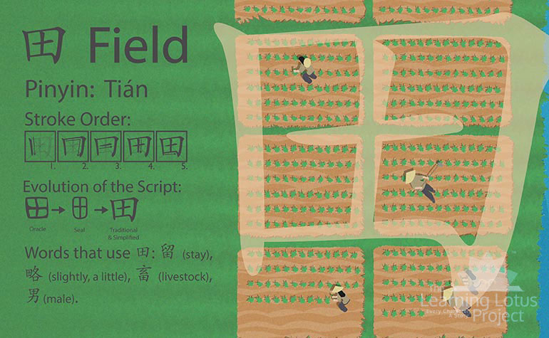 田 | field