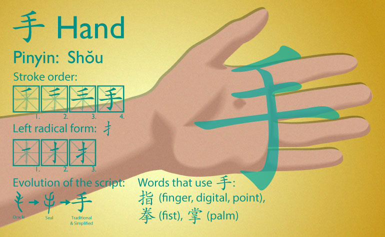 手 | Hand