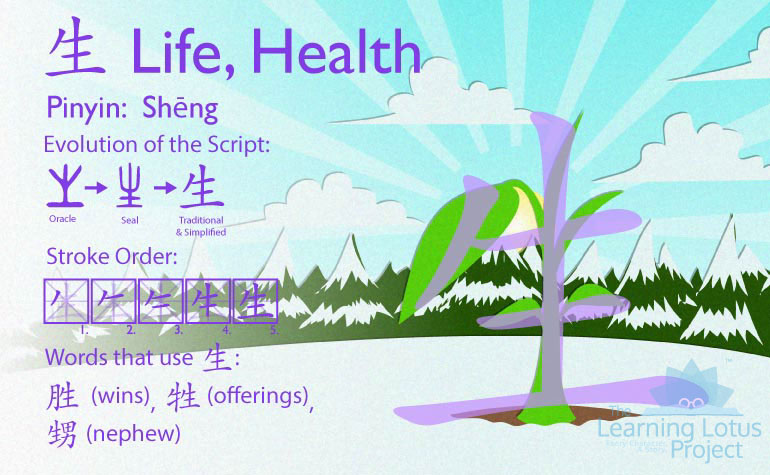 生 | Life, Health