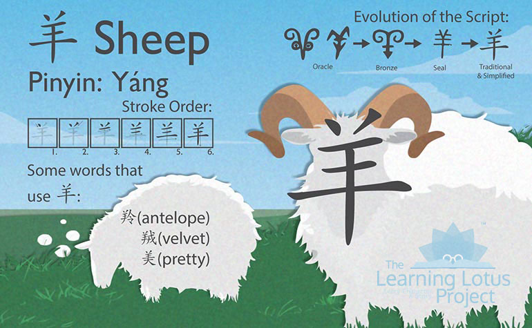 羊 | sheep