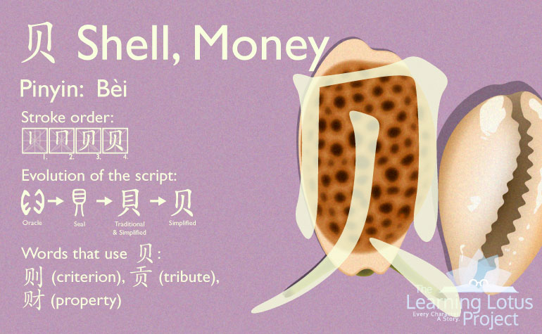 贝 | Shell, Money